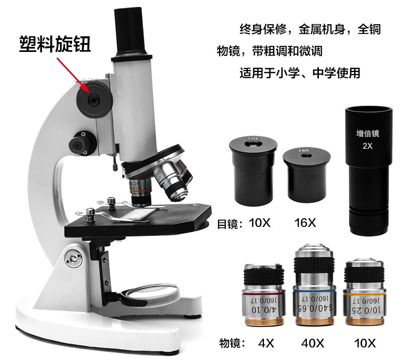 生物显微镜640倍 (7).jpg