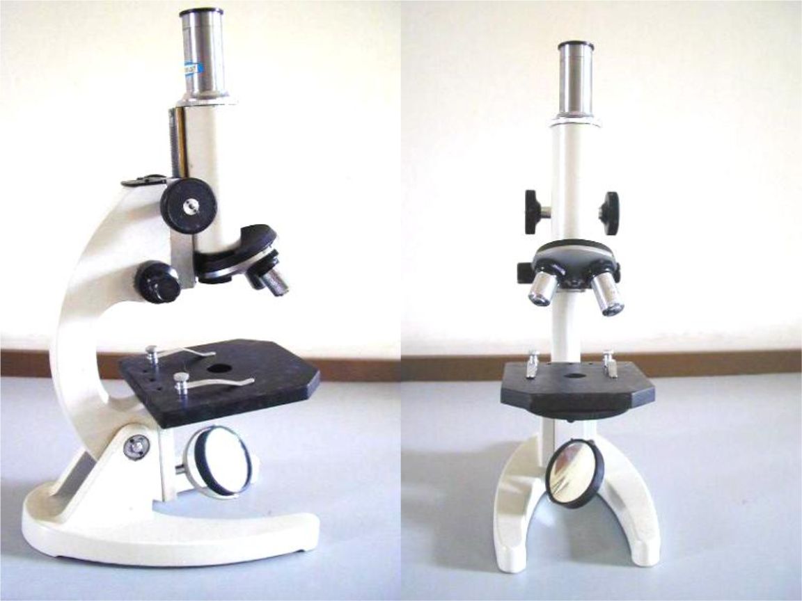 显微镜的主要构造